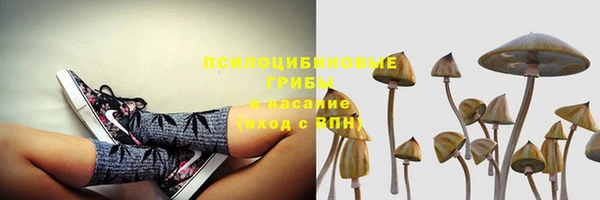 Альфа ПВП Заволжье