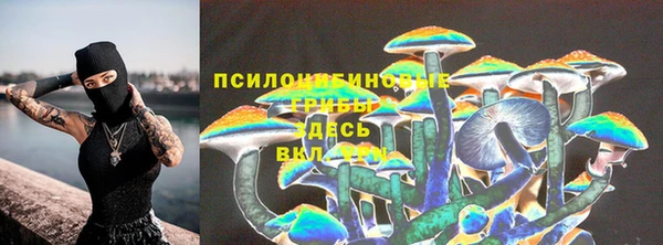 СК Заводоуковск